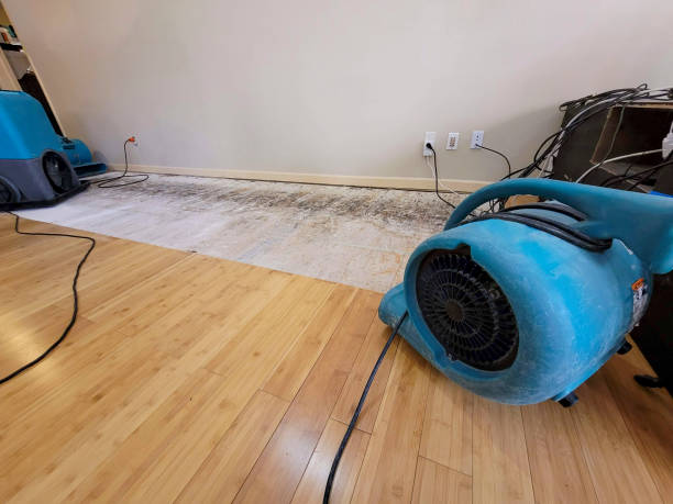 Professional Flood Damage Cleanup technician working in Southampton, PA